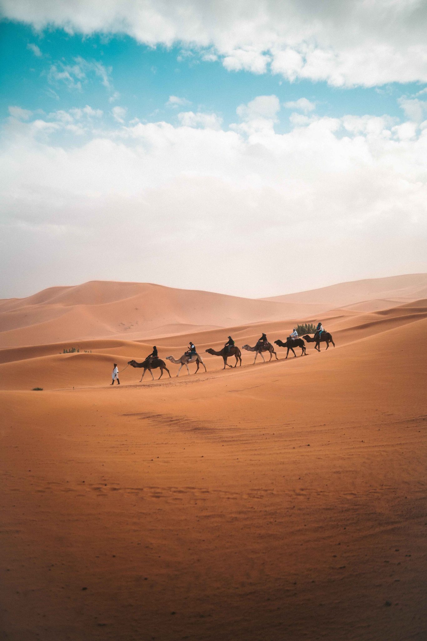 Crossing the dessert in Egypt by camel
