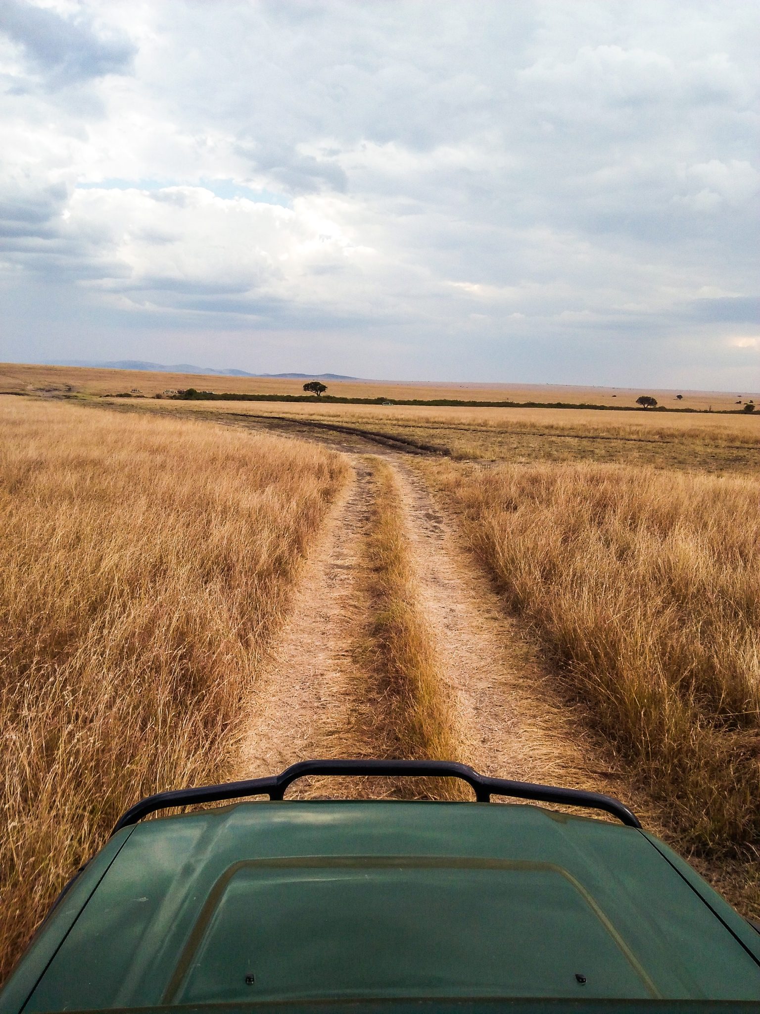 A few of the grasslands and driving trail from our safari vehicle on the WTN Kenya Tour for women